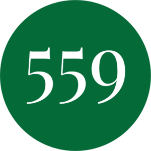 Sari Metsäkivi 559